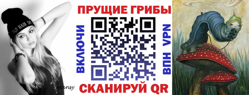 Псилоцибиновые грибы мицелий купить наркотик Сельцо